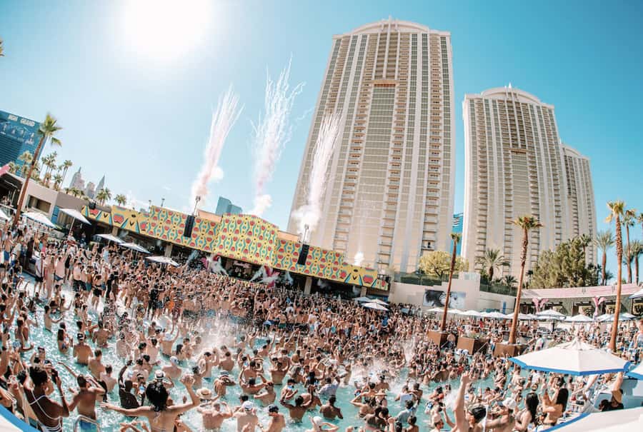 #1 Vegas Pool Crawl with Party Bus, Free Drinks & VIP Entry - VIP Pool Party Planning: Three Dayclubs in About Four Hours