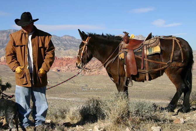 2-Hour Horseback Riding through Red Rock Canyon - Who this tour fits, and who should think twice