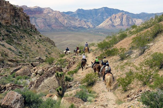 2-Hour Horseback Riding through Red Rock Canyon - Should you book this Red Rock Canyon horseback ride?