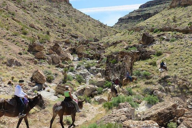 2-Hour Horseback Riding through Red Rock Canyon - Why the wranglers matter: calm control, gentle horses, and a smoother mount than you expect