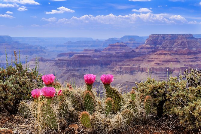 3-Day Grand Canyon, Antelope, Bryce & Zion Tour from Vegas - Day 3 Zion National Park: the Virgin River walk and photo stops