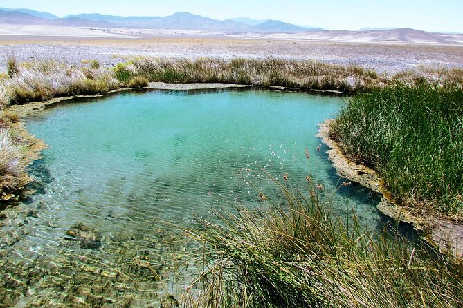 4-Hour Private Hidden Hot Springs Tour near Death Valley - Private Means Personal: Guides Like Mike and Jake Change the Mood