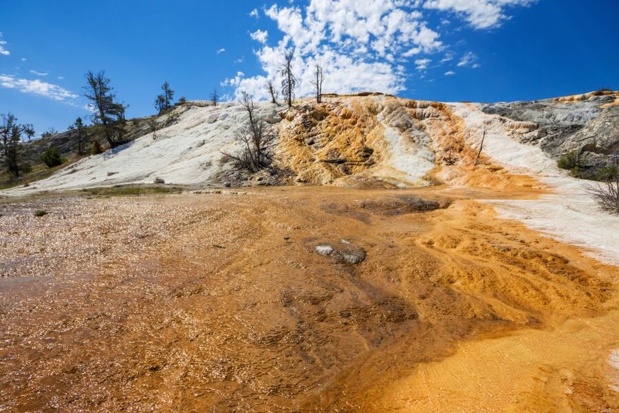 7-Day Yellowstone National Park Rocky Mountain Explorer - Getting the Most Out of the Wildlife and Geothermal Focus