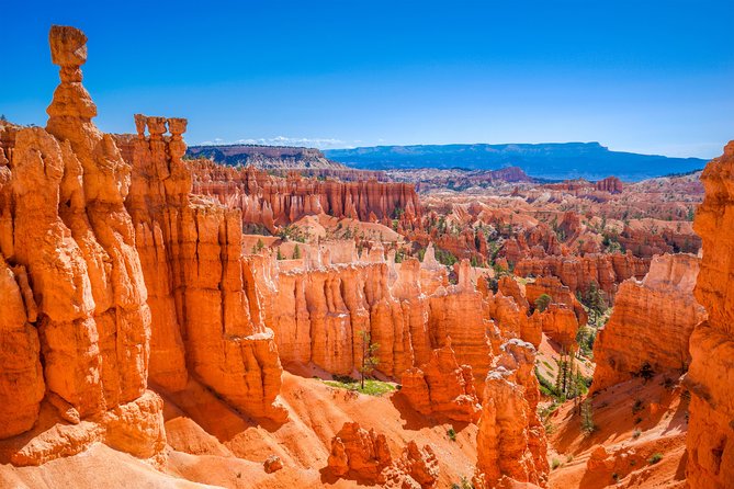 7-Day: Zion, Bryce, Monument Valley, Arches and Grand Canyon Tour - Another Day for Arches and Canyonlands: Why a Second Visit Matters