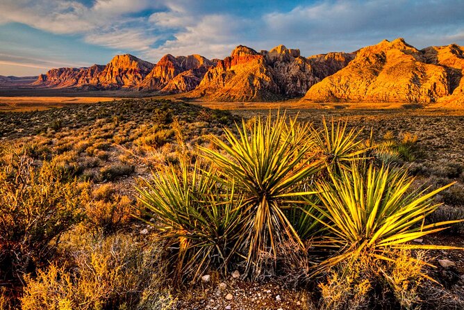 7 Magic Mountains Tour and Las Vegas Sign on a Slingshot - 20-Minute Strip Drive Back: Keeping the Neon In the Story