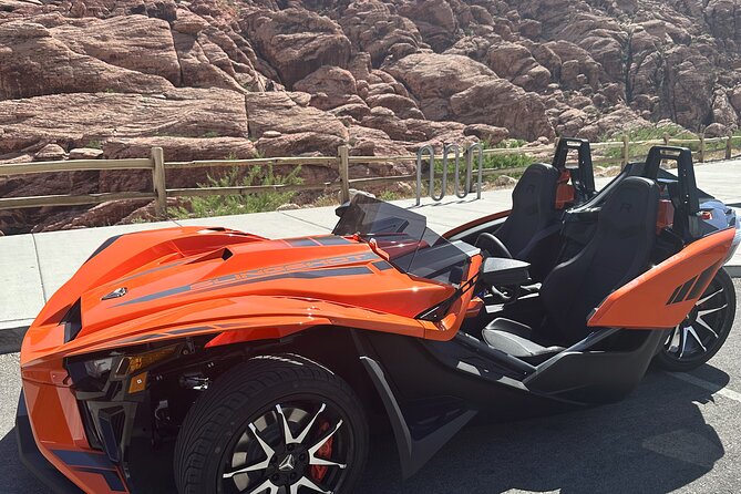 7 Magic Mountains Tour and Las Vegas Sign on a Slingshot - Who Should Book This Slingshot Tour (and Who Should Think Twice)