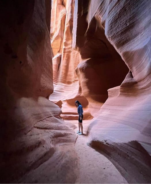 Antelope Canyon and Horseshoe Bend Vip small group tour - Horseshoe Bend: The Colorado River Loop, Plus Time to Get Your Shot