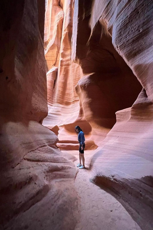 Antelope Canyon and Horseshoe Bend Vip small group tour - Antelope Canyon: Narrow Passages, Guided Light, Real Photo Opportunities
