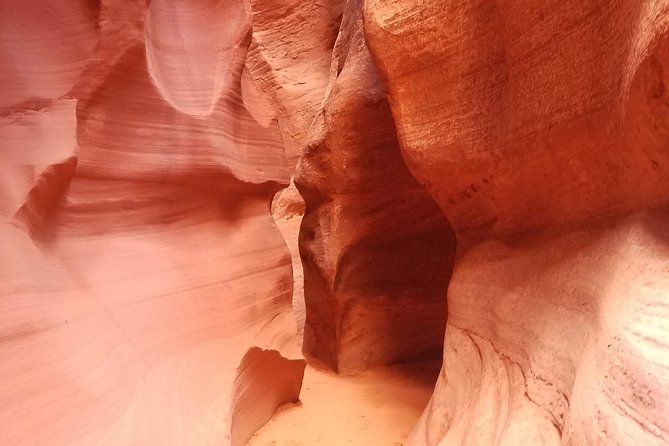 Antelope Canyon, Horseshoe Bend and Lake Powell Tour from Las Vegas - A 5:30 am start that actually makes sense