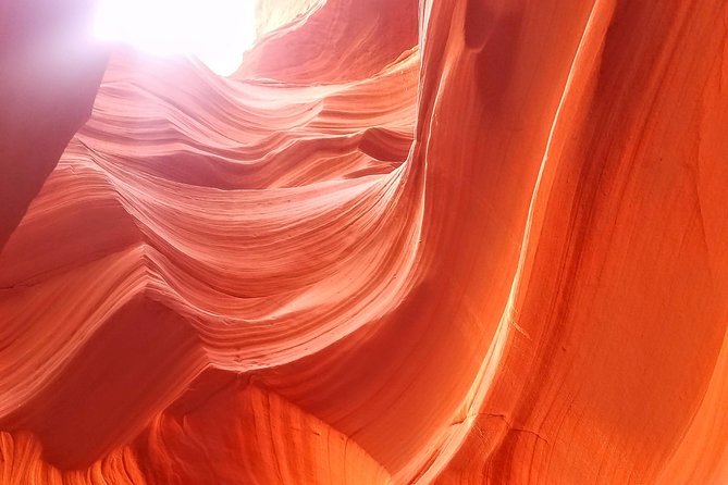 Antelope Canyon, Horseshoe Bend and Lake Powell Tour from Las Vegas - Value check: is $269 a fair deal for this route?