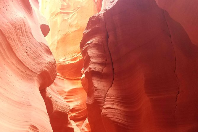 Antelope Canyon, Horseshoe Bend and Lake Powell Tour from Las Vegas - Lake Powell in 15 minutes: how to get your money shot