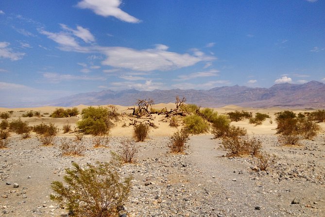 Arizona Ghost Towns and Wild-West Day Trip from Las Vegas - El Dorado and the Techatticup Mine: Tiny Town, Movie-Set Credibility