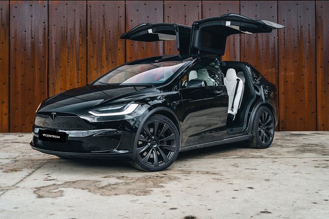 Arrival Private Transfer from Las Vegas Airport to Las Vegas by electric vehicle - Luggage and child seat policy, plus what to ask before you go