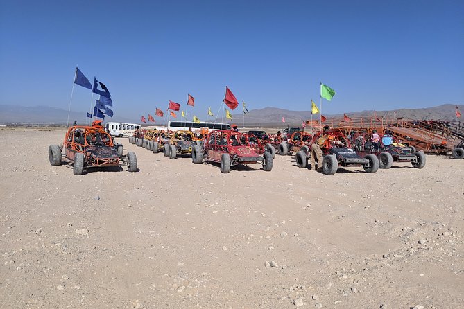 ATV Tour and Dune Buggy Chase Dakar Combo Adventure from Las Vegas - Valley of Fire on ATV: red rock, wildlife, and Star Trek history
