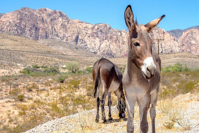 Audio Driving Tour: Grand Canyon West, Hoover Dam Red Rock Canyon - Hoover Dam in close range, plus the Hoover Dam Bypass viewpoint