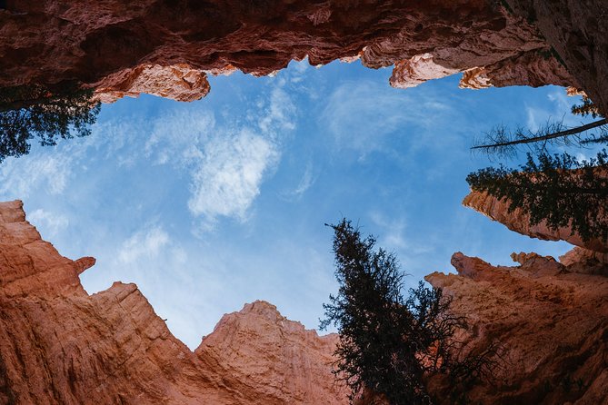 Bryce Canyon & Zion National Park from Las Vegas with Lunch, WiFi - Checkerboard Mesa: The 10-Minute Photo Stop You’ll Remember