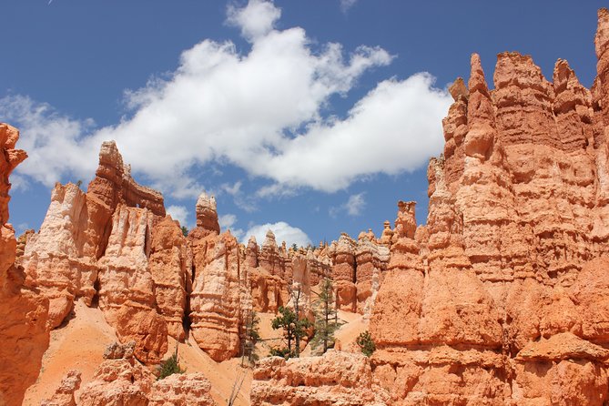 Bryce Canyon & Zion National Park from Las Vegas with Lunch, WiFi - Lunch, Snacks, Water, and the Small Comforts That Matter