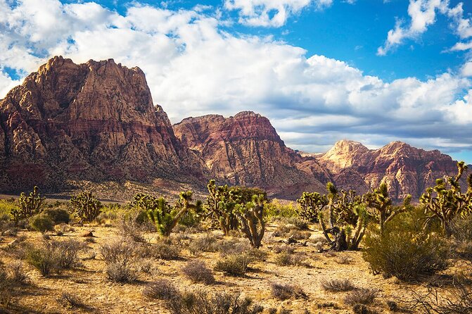 California Desert, Red Rock Views and Seven Magic Mountains - Price and Logistics: What You Really Get for $99
