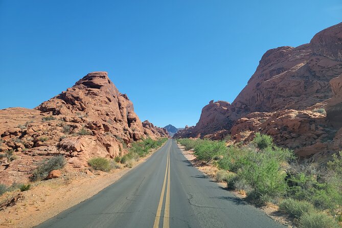 Combo Tour: Valley of Fire & Hoover Dam Full-Day Tour - Petrified Logs Loop: geology in plain language