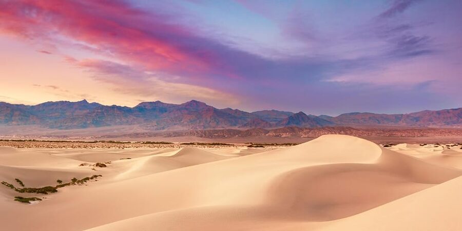 Death Valley an Mojave Desert VIP Small Group Tour Las Vegas - Languages and guide style: easier questions, smoother pacing