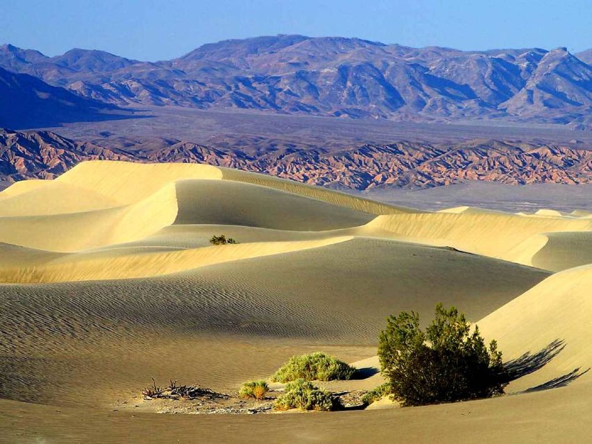 Death Valley Day-Tour from Las Vegas - Rhyolite and the ghost-town view you’ll want in your camera roll