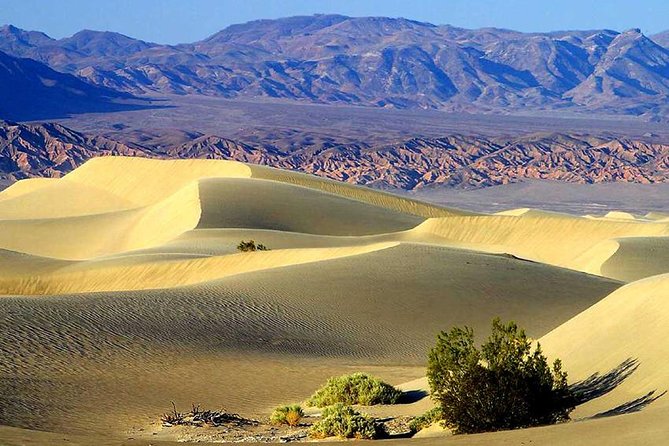 Death Valley Day Trip from Las Vegas - Rhyolite ghost town: the eerie warm-up before the park