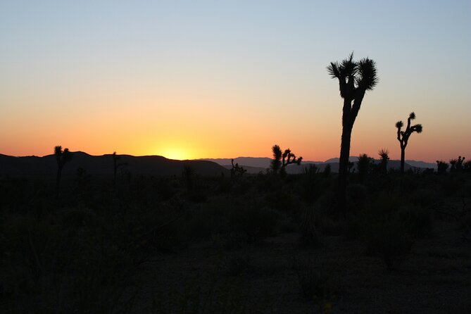 Death Valley Small Group Day Tour with Sunset and Stargazing - Stop 1: Furnace Creek Visitor Center, where it all makes sense