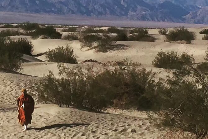 Death Valley Small Group Luxury SUV Day Tour - Mesquite Flat Sand Dunes: patterns, plus those desert trees
