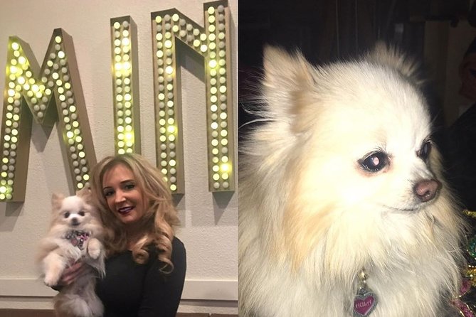 Dimmare's Martinis and Magic® Ticket: Dinner,cocktails & Show - Italian Dinner and Drinks, What Comes With the Ticket