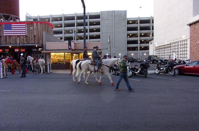Downtown Las Vegas Evening Tour by Segway - Small Group, Big Attention: The Value of a Max of 8