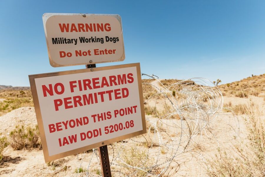 From Las Vegas: Area 51 Full-Day Tour - Area 51 perimeter: the Joshua tree approach and the reality check