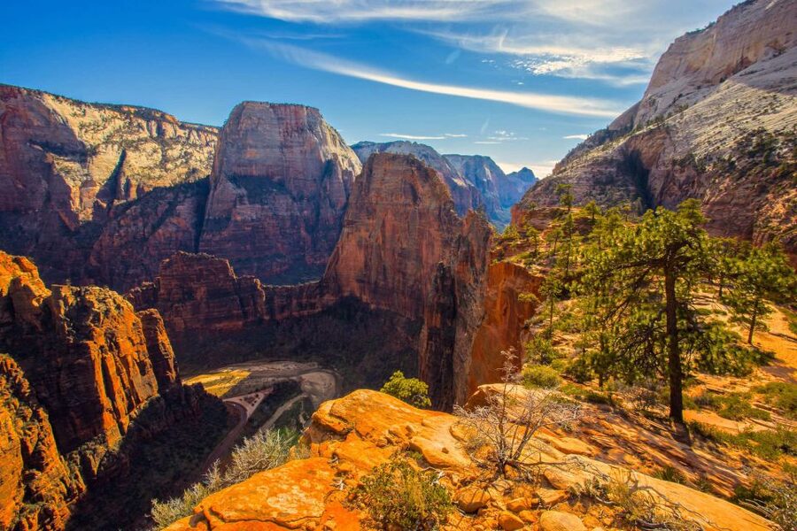 From Las Vegas: Bryce Canyon and Zion Park Tour with Lunch - Zion National Park Red Cliffs and the Virgin River Calm