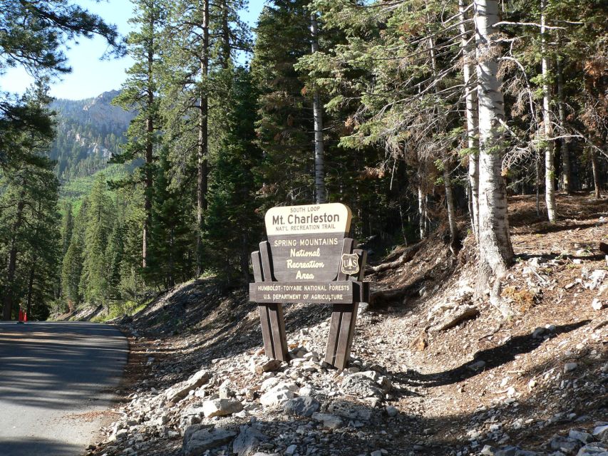 From Las Vegas: Day Trip to Mount Charleston Resort - Key highlights worth getting excited about