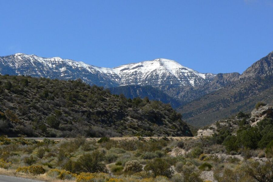 From Las Vegas: Day Trip to Mount Charleston Resort - Price and Value: Is $109 Worth 5 Hours?