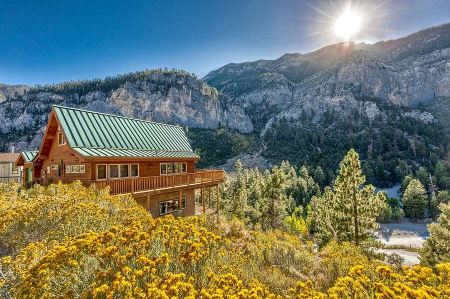 From Las Vegas: Day Trip to Mount Charleston Resort - The Morning Ride: Desert Plants to 7,500-Foot Pines