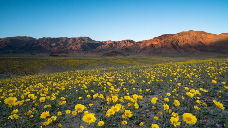 From Las Vegas: Full Day Death Valley Group Tour - Who This Tour Fits Best (And Who Might Want a Different Style)