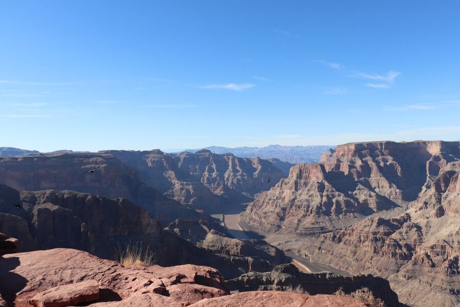 From Las Vegas: Grand Canyon & Hoover Dam Private Photo Tour - The Joshua Tree Forest stop: stretching your legs between canyon highlights