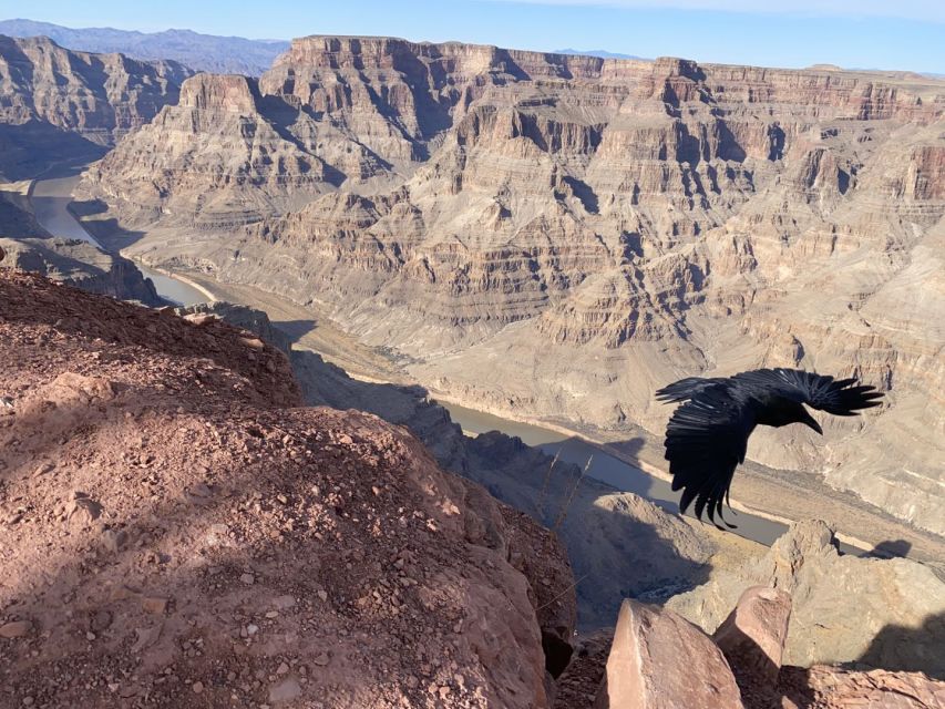 From Las Vegas: Grand Canyon & Hoover Dam Private Photo Tour - Hemenway Park and the bighorn sheep season odds at Lake Mead