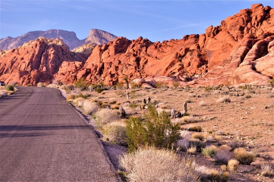 From Las Vegas: Red Rock Canyon Electric Bike Hire - What You’ll See: Sandstone Cliffs, Big Views, and Wildlife Chances