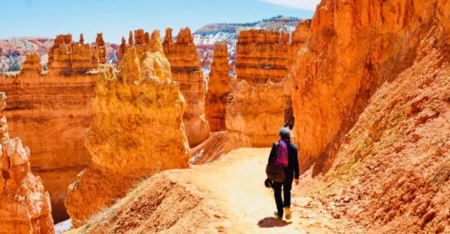 From Las Vegas: Zion and Bryce Canyon Day Trip with Pickup - Small-group logistics: pickup, van comfort, and pacing