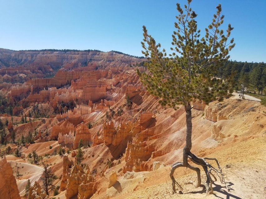 From Las Vegas: Zion and Bryce Canyon Guided Day Tour - Key Points Before You Go