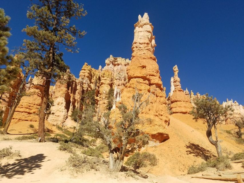 From Las Vegas: Zion and Bryce Canyon Guided Day Tour - Quick Practical Tips I’d Use Before You Go