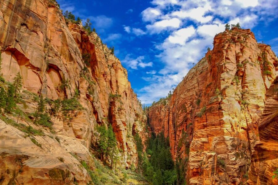 From Las Vegas: Zion and Bryce National Park Overnight Tour - How this 2-day plan actually feels from Las Vegas