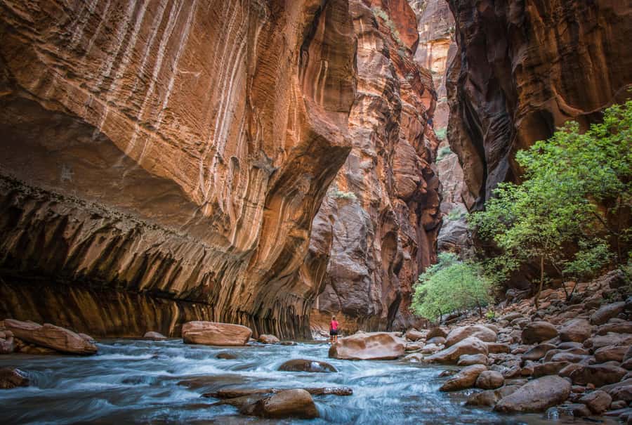 From Las Vegas: Zion National Park Day Trip - Getting there: pickup timing, van comfort, and early starts