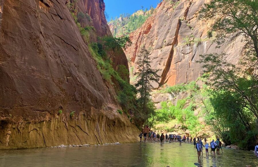 From Las Vegas: Zion National Park Small Group Adventure - Entering Zion with a small-group rhythm, not a big-bus shuffle