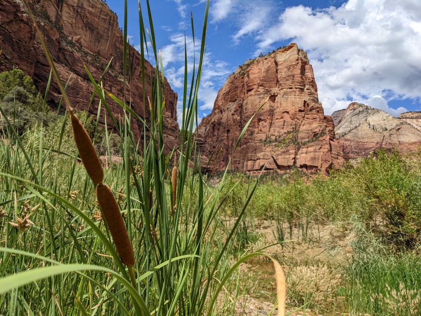 From Las Vegas: Zion National Park Small Group Adventure - Summer shuttles vs winter point-to-point: how the plan changes