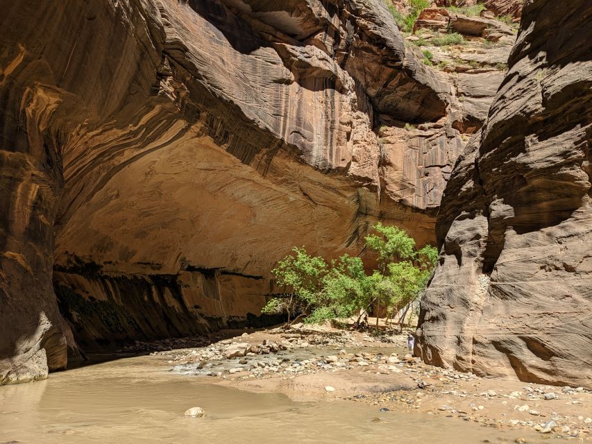 From Las Vegas: Zion National Park Small Group Adventure - The long Las Vegas ride, plus why early pickup is a smart move