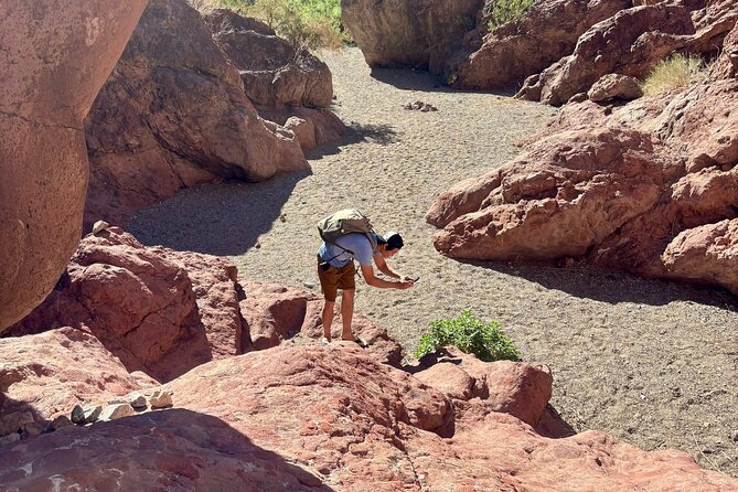 Full-Day Emerald Cave Kayak Tour: 3 Caves, Hidden Beach, Wildlife - Price and value: does $149 really make sense?