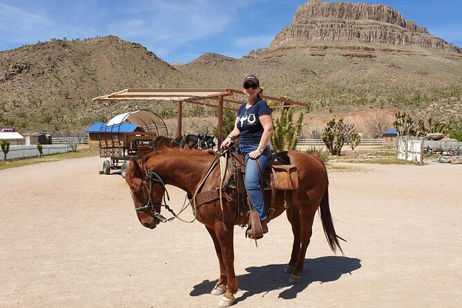 Full Day Grand Canyon Trip with Horseback Ride From Las Vegas - Price and value: what $246.25 really buys you