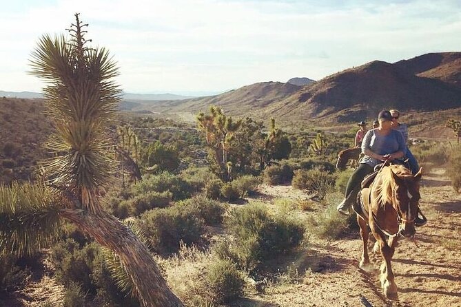 Full Day Grand Canyon Trip with Horseback Ride From Las Vegas - From Las Vegas to Meadview: Hoover Dam, Lake Mead, and Joshua Tree country